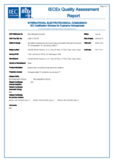 Certificat de qualité IECEx · Delvalle Box
