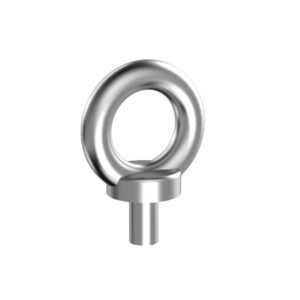 Eyebolt: main view of the product