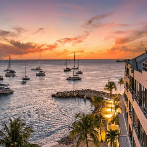 Puente de vista del puerto con yates y palmeras al atardecer.