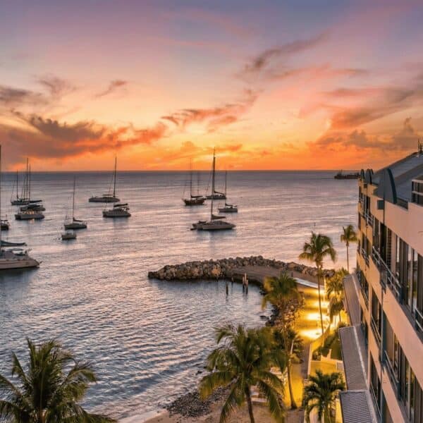 Vista del puerto con yates y palmeras durante el atardecer.
